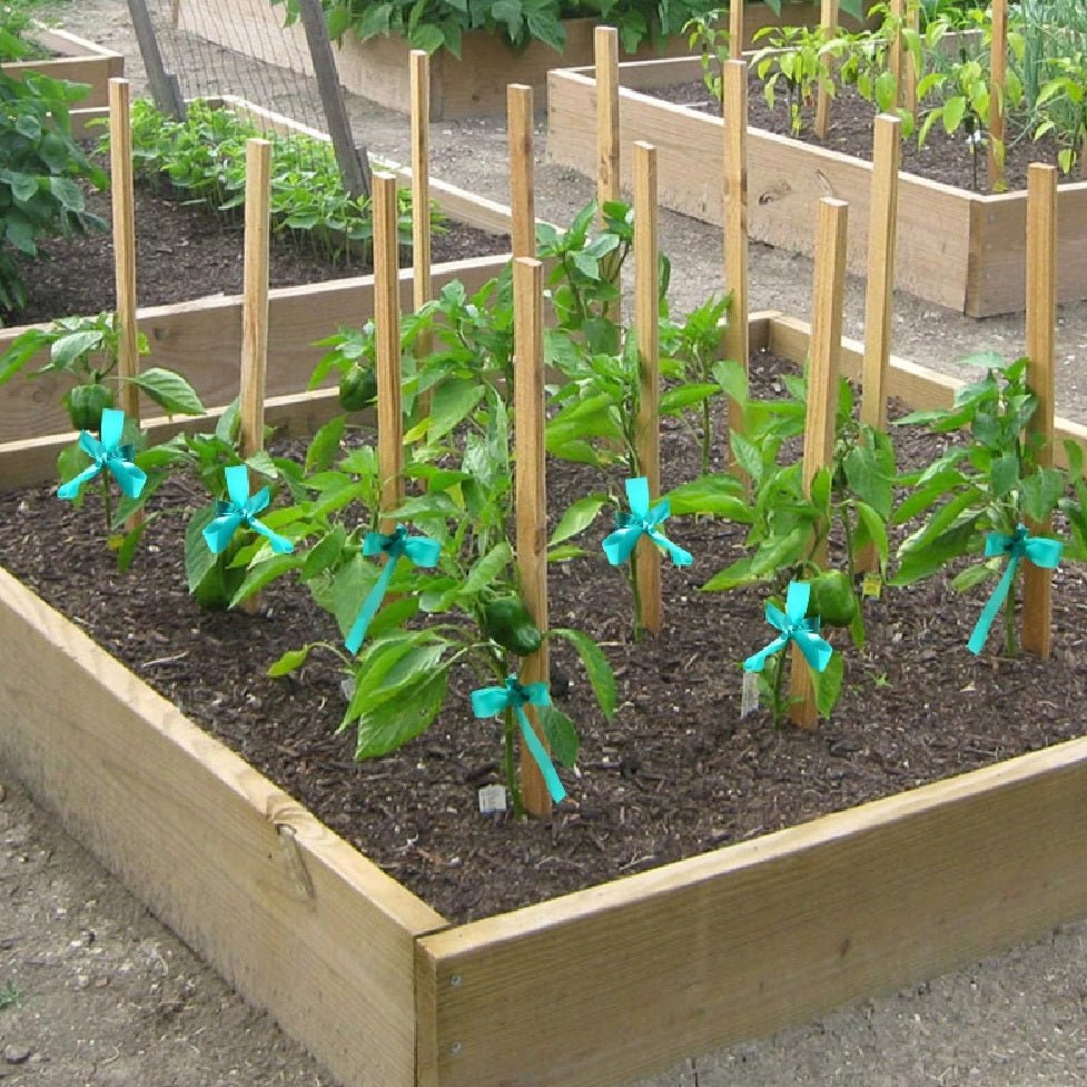 Miracle Garden Tie™ Stretchable Garden Tape - Greenhouse Megastore