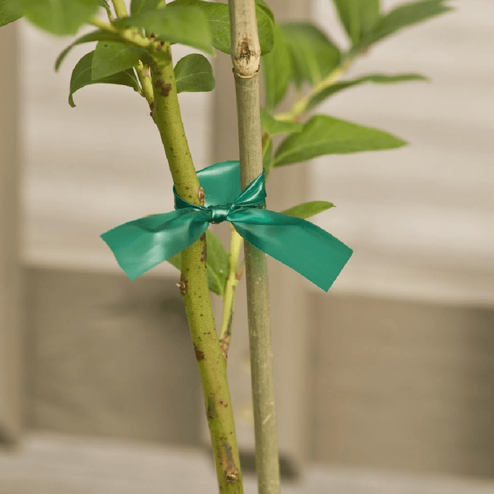 Miracle Garden Tie™ Stretchable Garden Tape - Greenhouse Megastore