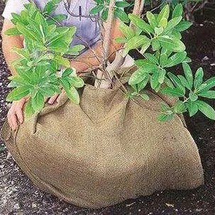 Natural Burlap 5.5 oz. - Greenhouse Megastore