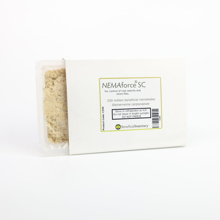 NEMAforce™ SC for Gnat Control - Greenhouse Megastore