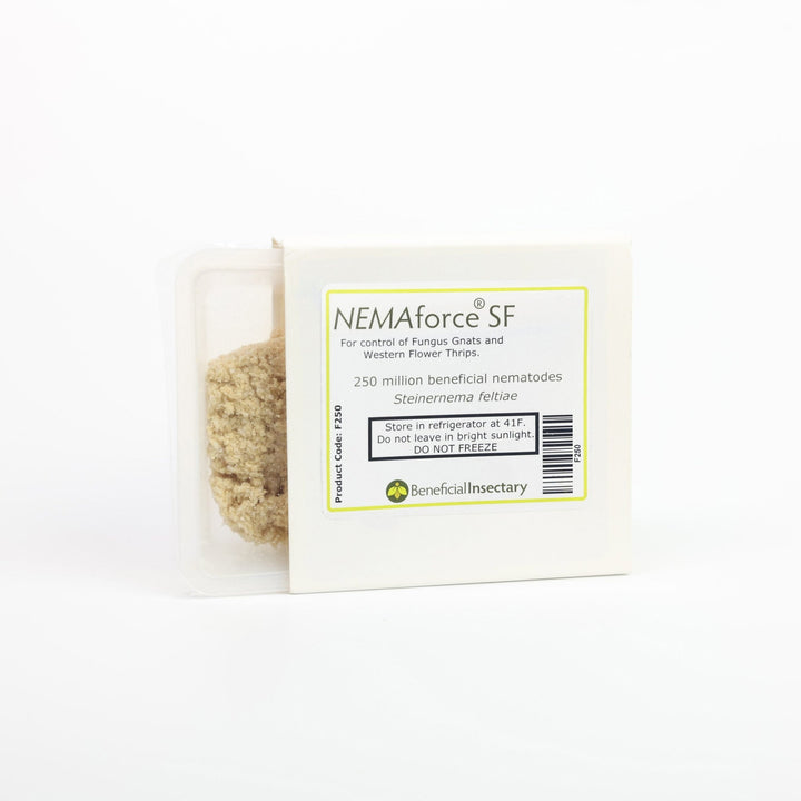 NEMAforce™ SF for Gnat Control - Greenhouse Megastore