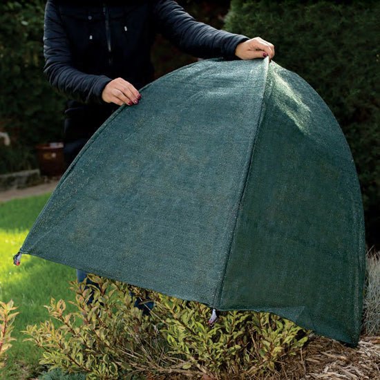 NuVue Winter Shrub Cover - Greenhouse Megastore