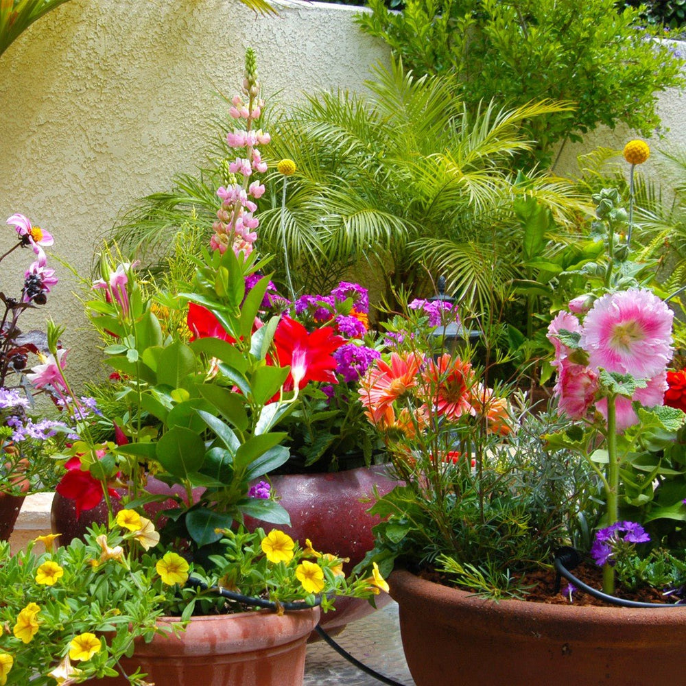 Patio Drip Watering Kit - Greenhouse Megastore
