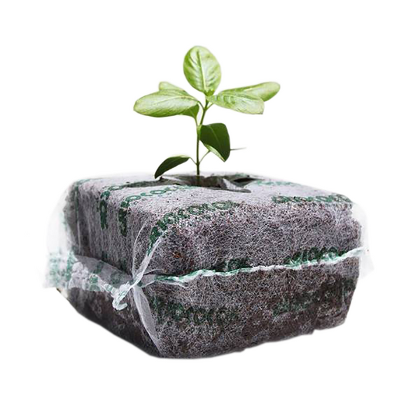 pcmsb-01-1_grande.png?v=1698237632