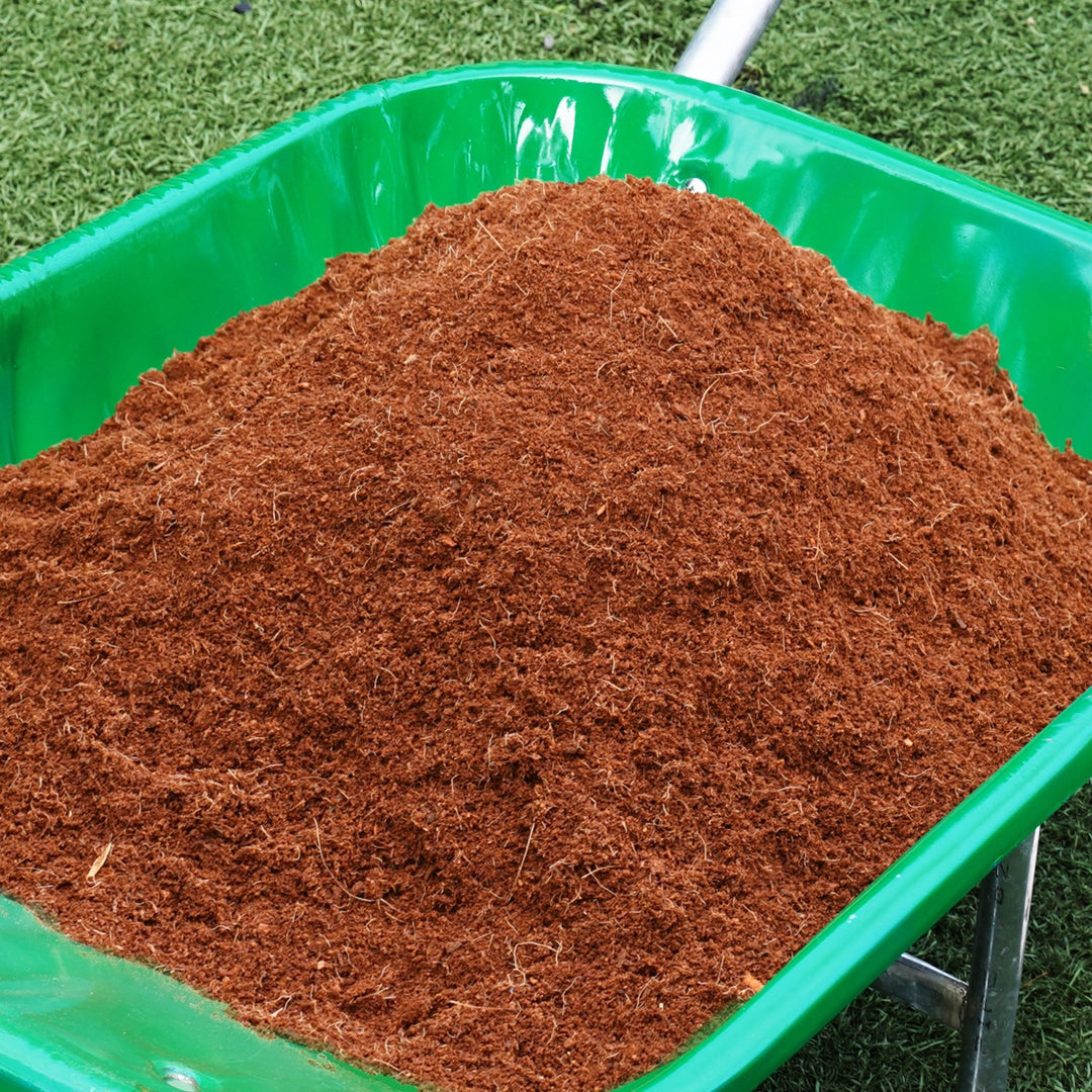 PlantBest™ Coco Peat Coconut Coir Growing Medium & Soil Improver - Greenhouse Megastore