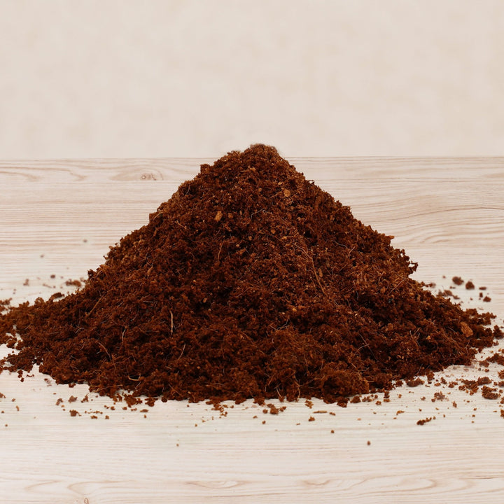 PlantBest™ Coco Peat Coconut Coir Growing Medium & Soil Improver - Greenhouse Megastore