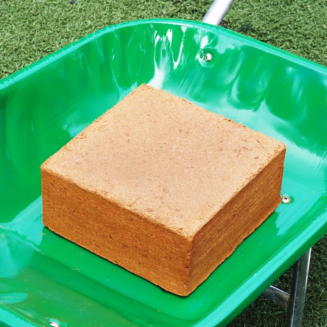 PlantBest™ Coco Peat Coconut Coir Growing Medium & Soil Improver - Greenhouse Megastore