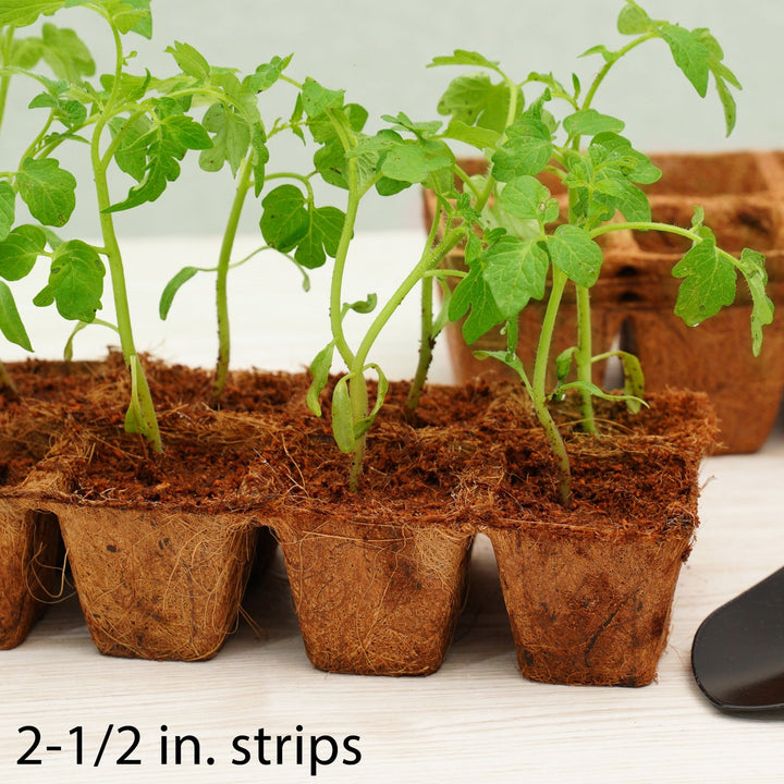 PlantBest™ Coir Pot Strips - Greenhouse Megastore