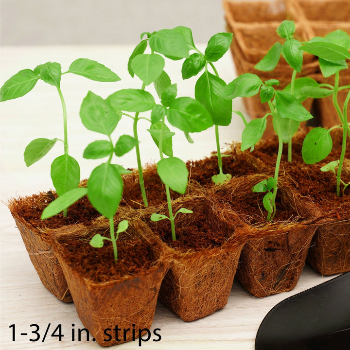 PlantBest™ Coir Pot Strips - Greenhouse Megastore