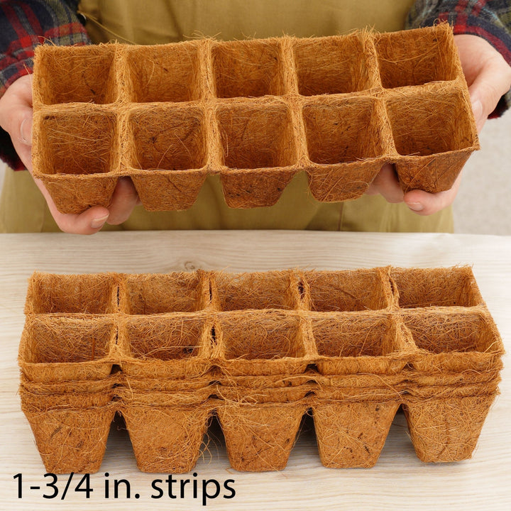 PlantBest™ Coir Pot Strips - Greenhouse Megastore