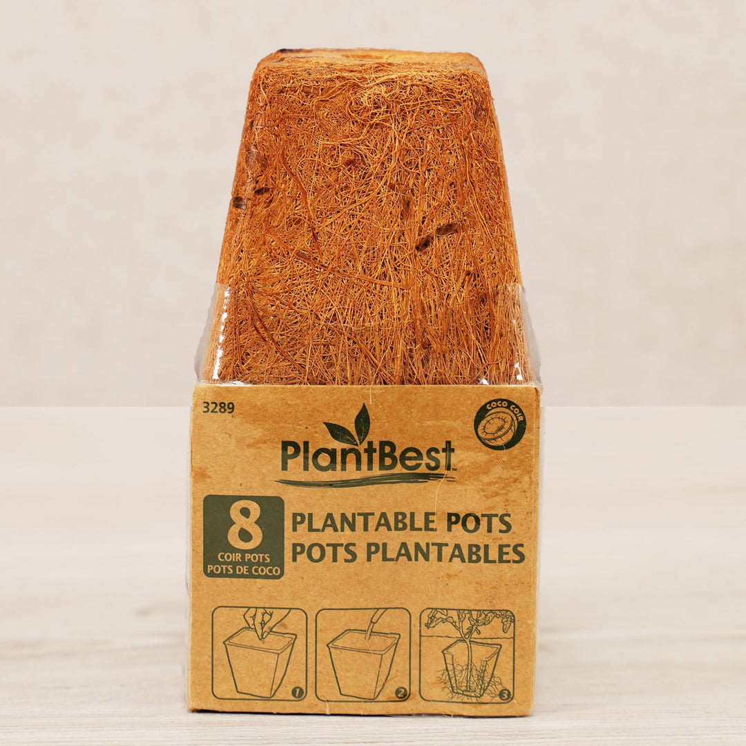 PlantBest™ Square Coir Pots - Greenhouse Megastore
