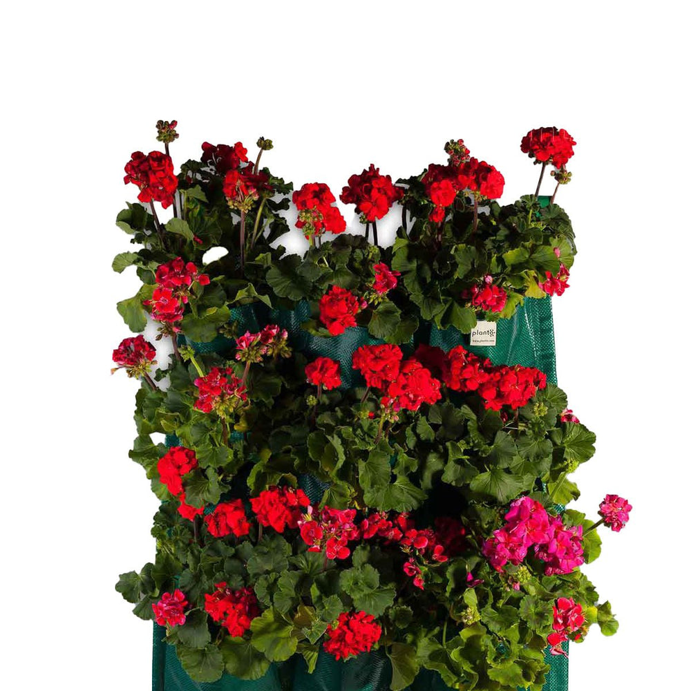 Planto Plantbag 25 in. Vertical Garden - Greenhouse Megastore