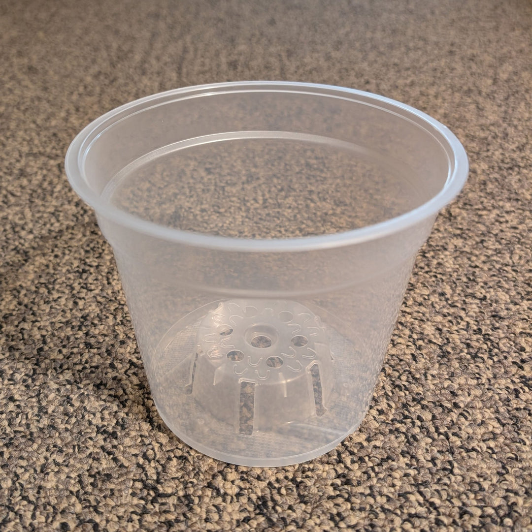 clear orchid plant pots Pöppelmann TEKU® MCO 4.5 in Translucent Orchid Pot