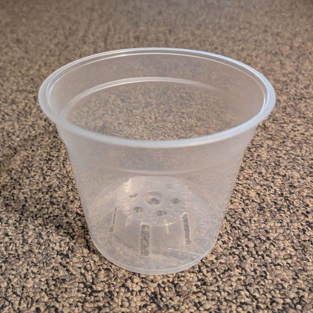 Pöppelmann TEKU® MCO Translucent Orchid Pot - Greenhouse Megastore