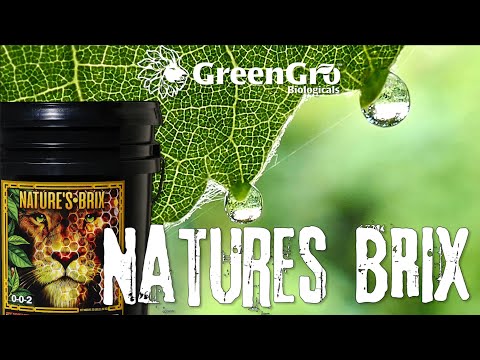 GreenGro™ Nature's Brix 0-0-2