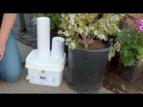 DALOTIAforce™ for Gnat Control