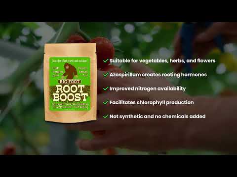Mega Root Big Foot™ Root Boost - Greenhouse Megastore
