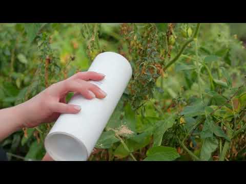 CALIforce™ for Mite Control