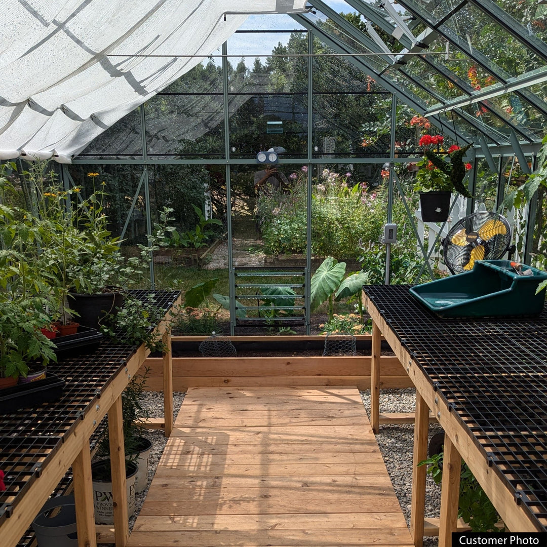 Rhino Premium Greenhouse Kit 10 x 16 ft. with 4mm Toughened Safety Glass Panels and Aluminum Frame - Greenhouse Megastore