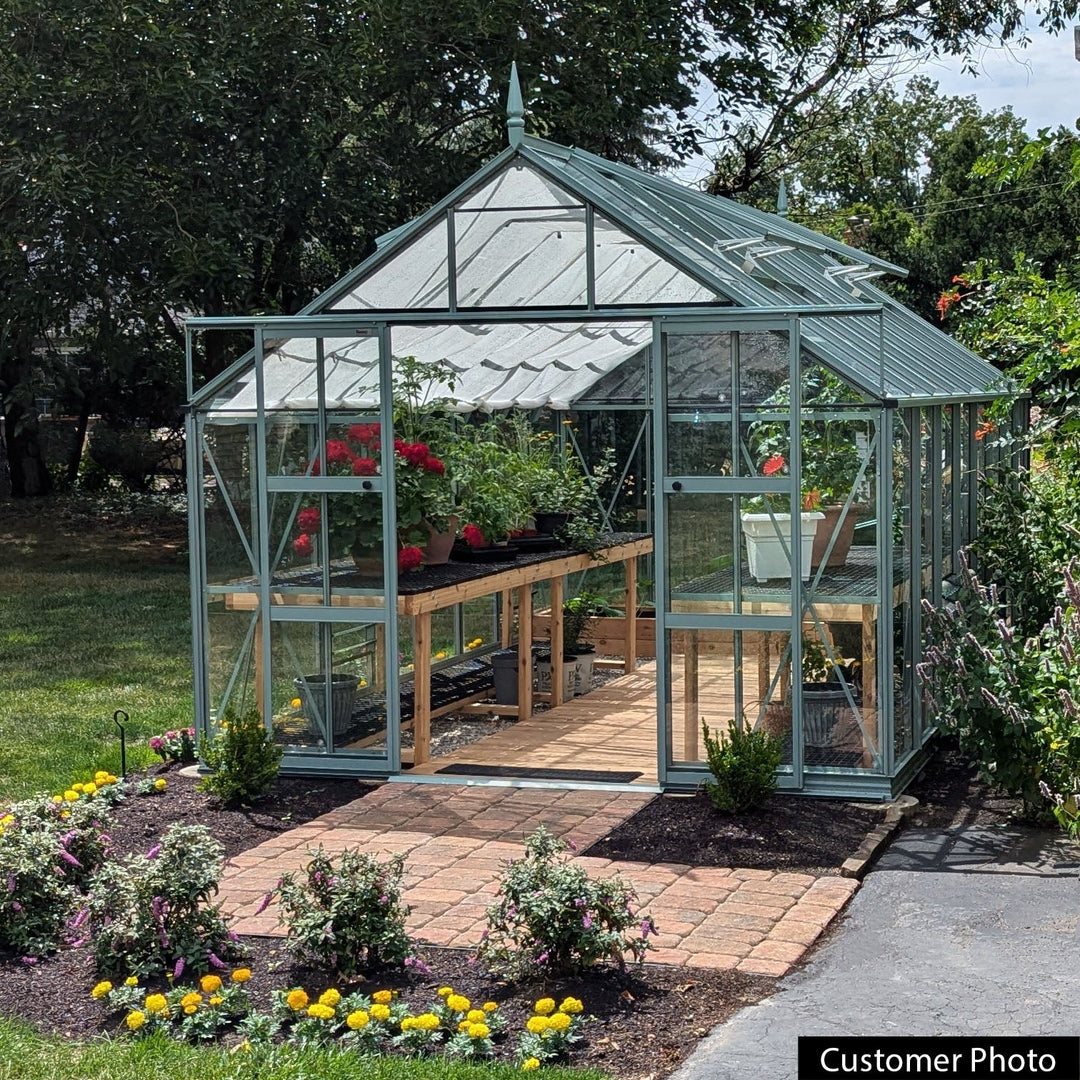 Rhino Premium Greenhouse Kit 10 x 16 ft. with 4mm Toughened Safety Glass Panels and Aluminum Frame - Greenhouse Megastore
