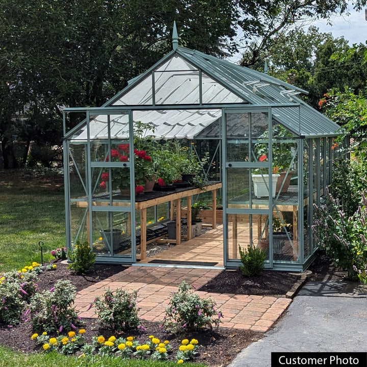 Rhino Premium Greenhouse Kit 10 x 16 ft. with 4mm Toughened Safety Glass Panels and Aluminum Frame - Greenhouse Megastore