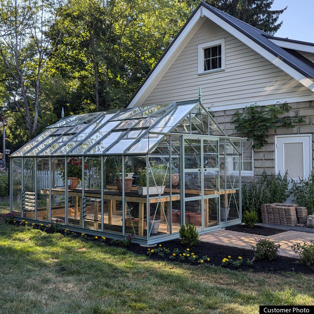 Rhino Premium Greenhouse Kit 10 x 16 ft. with 4mm Toughened Safety Glass Panels and Aluminum Frame - Greenhouse Megastore