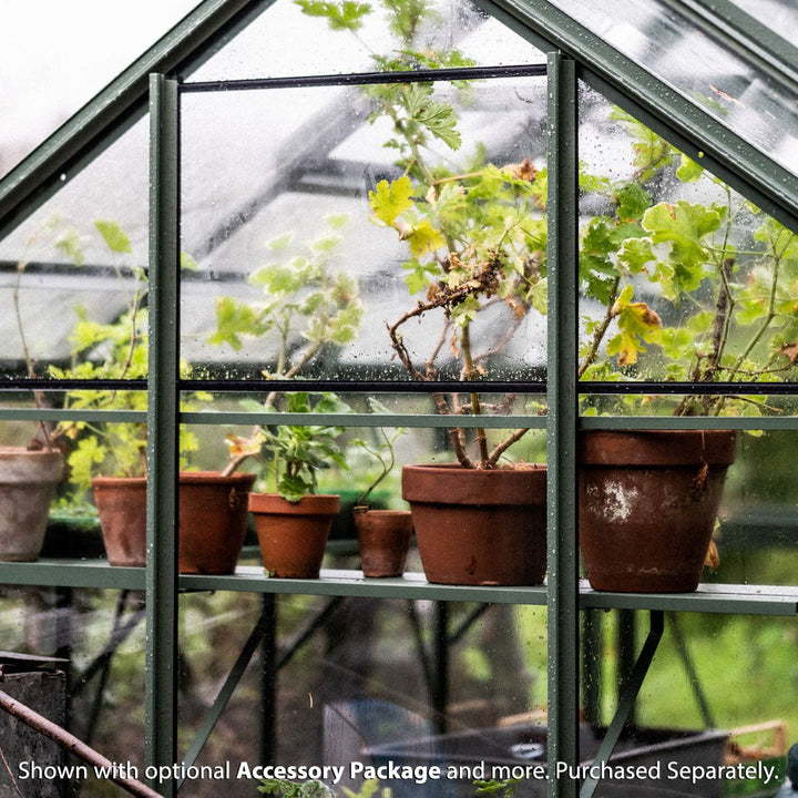Rhino Premium Greenhouse Kit 6 x 8 ft. with 4mm Toughened Safety Glass Panels and Aluminum Frame - Greenhouse Megastore