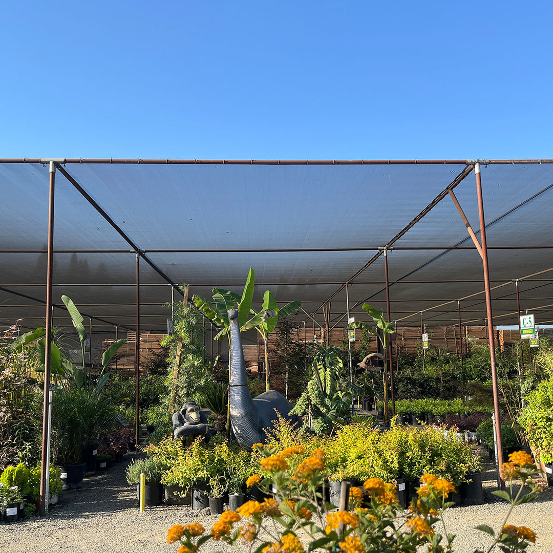 Green-Tek® 63% Black Woven Shade Cloth, Bulk