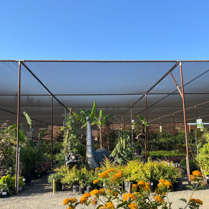 Green-Tek® 63% Black Woven Shade Cloth, Bulk