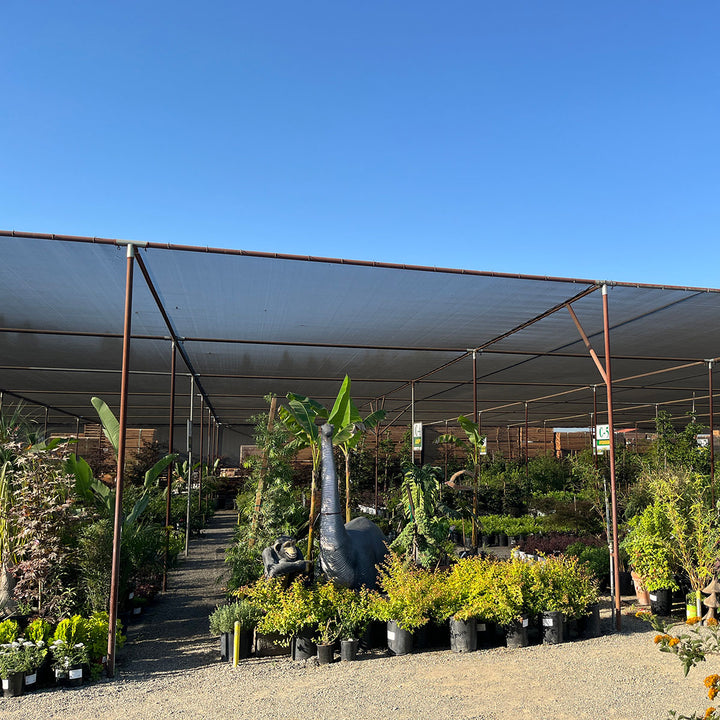 Green-Tek® 63% Black Woven Shade Cloth, Bulk