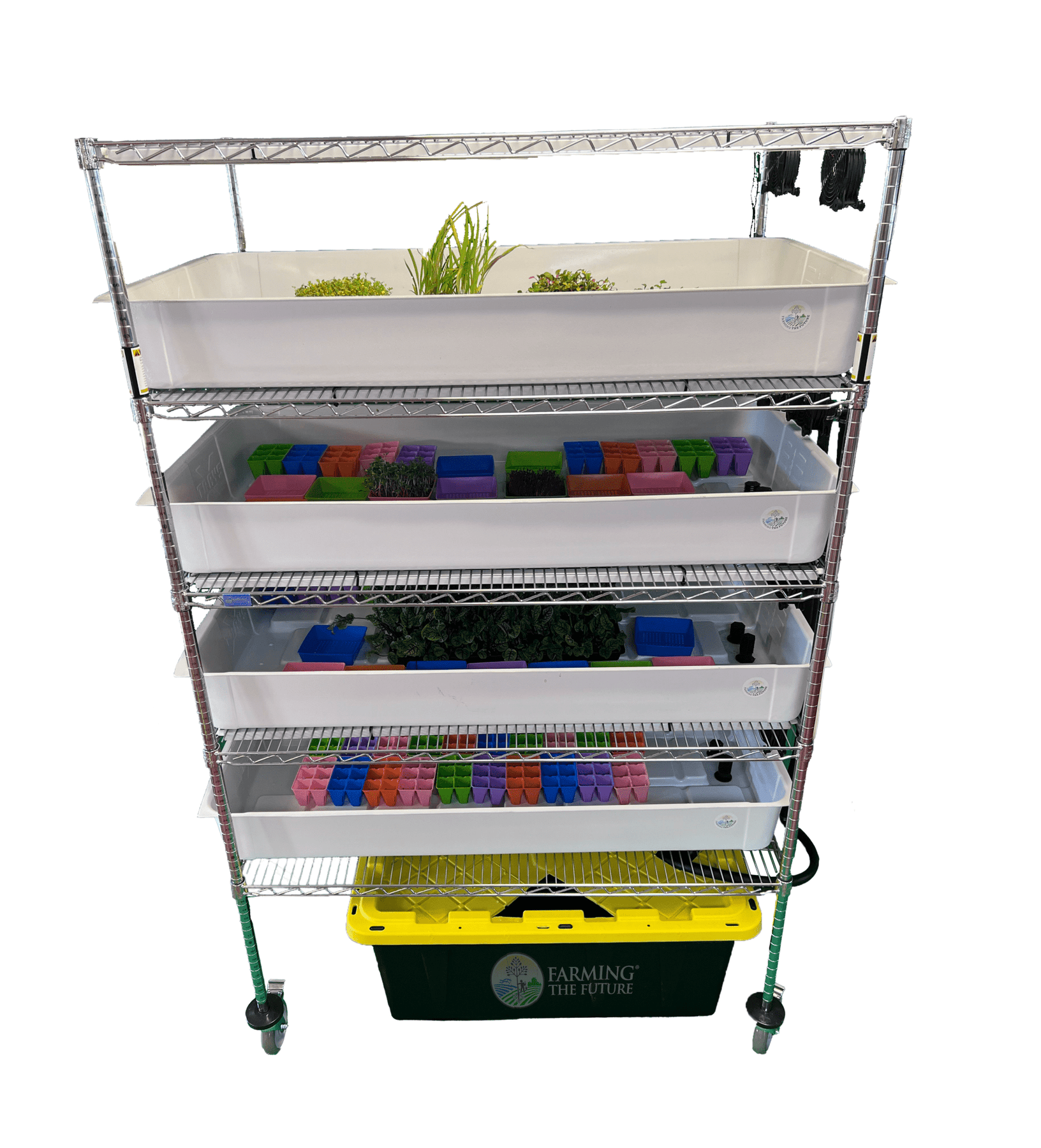 Grow Native Rack Cards School Hydroponics System Grow Rack STEM Education - Greenhouse Megastore