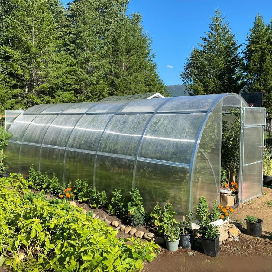 Sigma DIY Greenhouse Kit 10 x 20 ft. with 6mm Double - Wall Polycarbonate Panels and Galvanized Steel Frame - Greenhouse Megastore