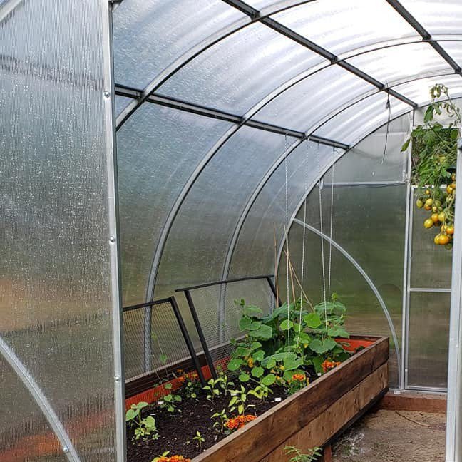 Sigma Urban DIY Greenhouse Kit 10 x 13 ft. with 6mm Double - Wall Polycarbonate Panels and Galvanized Steel Frame - Greenhouse Megastore