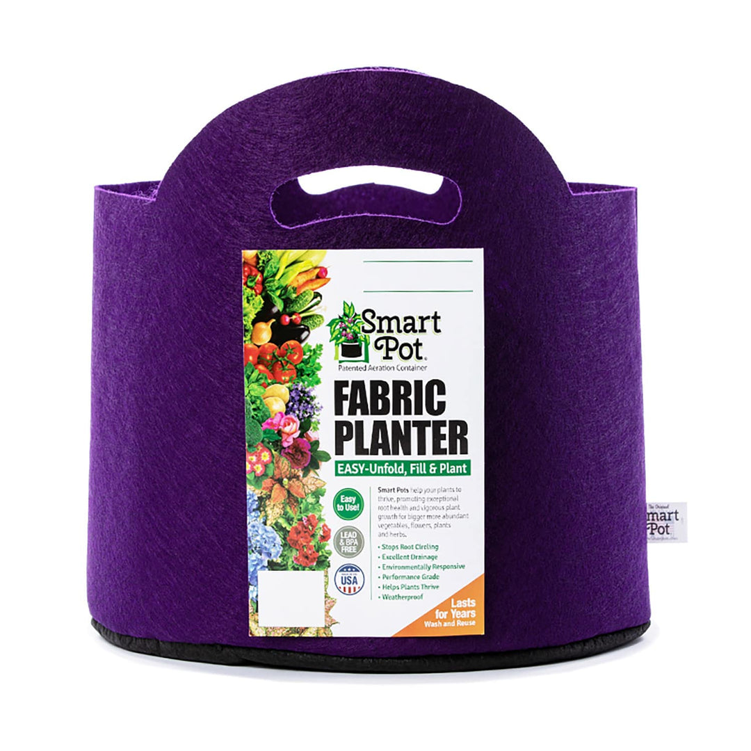smart pot fabric planter Smart Pot Fabric Planter 3 Gallon / Bright Violet / With Handles