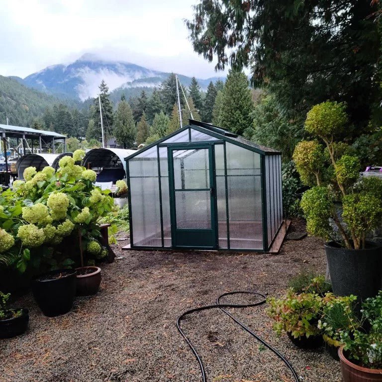 Sunhaven Greenhouse Kit 8 x 8 ft. with 6mm Twinwall Polycarbonate Panels and Aluminum Frame - Greenhouse Megastore