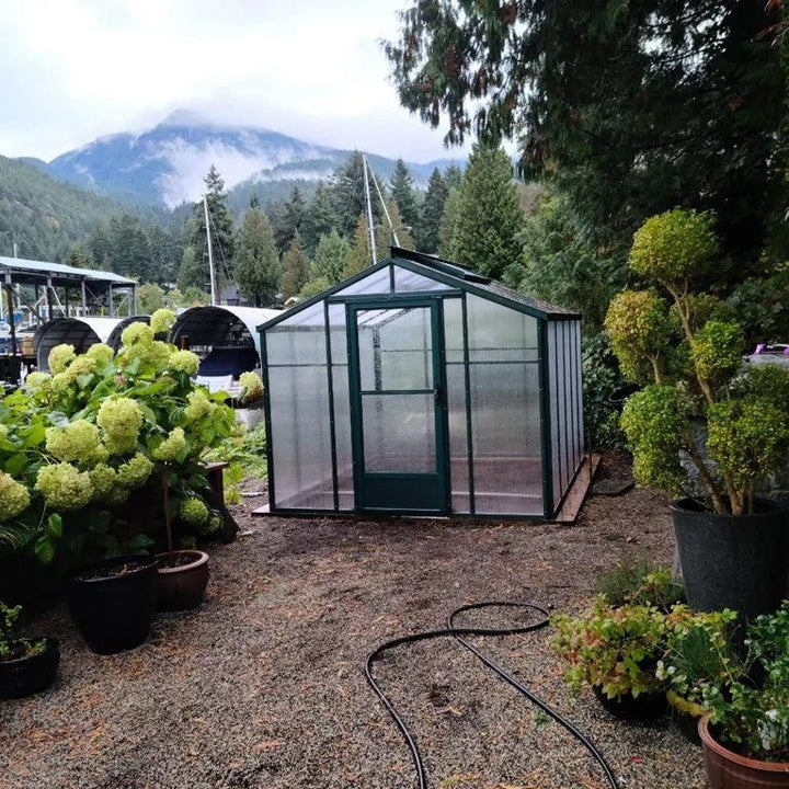 Sunhaven Greenhouse Kit 8 x 8 ft. with 6mm Twinwall Polycarbonate Panels and Aluminum Frame - Greenhouse Megastore