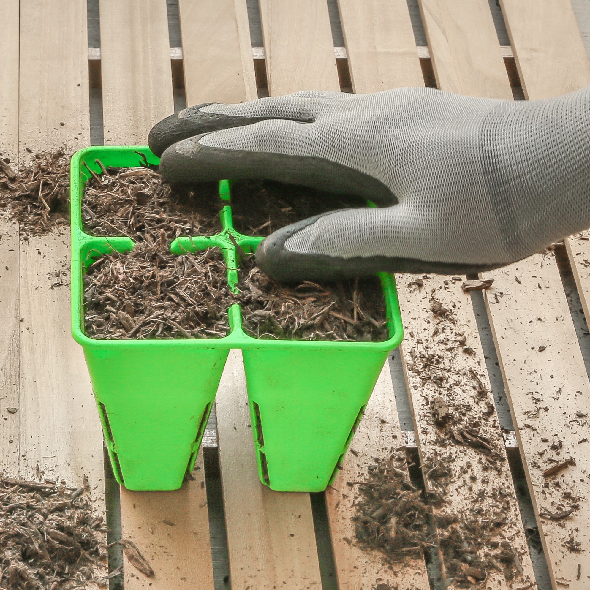 SUNPACK® 4-Cell Multi-Colored Tray Inserts - Greenhouse Megastore