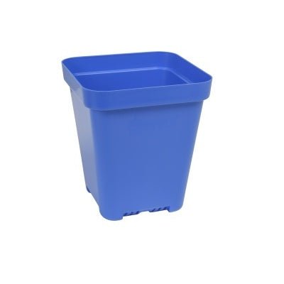 SUNPACK® Heavy - Duty Color Seed Starting Pot 5" Square - Greenhouse Megastore