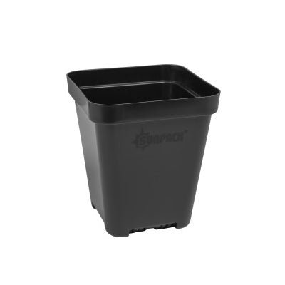 SUNPACK® Heavy - Duty Color Seed Starting Pot 5" Square - Greenhouse Megastore