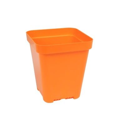 SUNPACK® Heavy - Duty Color Seed Starting Pot 5" Square - Greenhouse Megastore