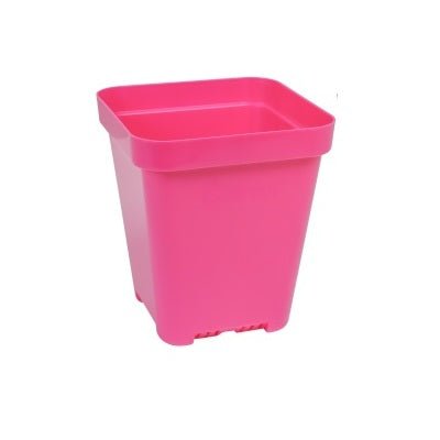 SUNPACK® Heavy - Duty Color Seed Starting Pot 5" Square - Greenhouse Megastore