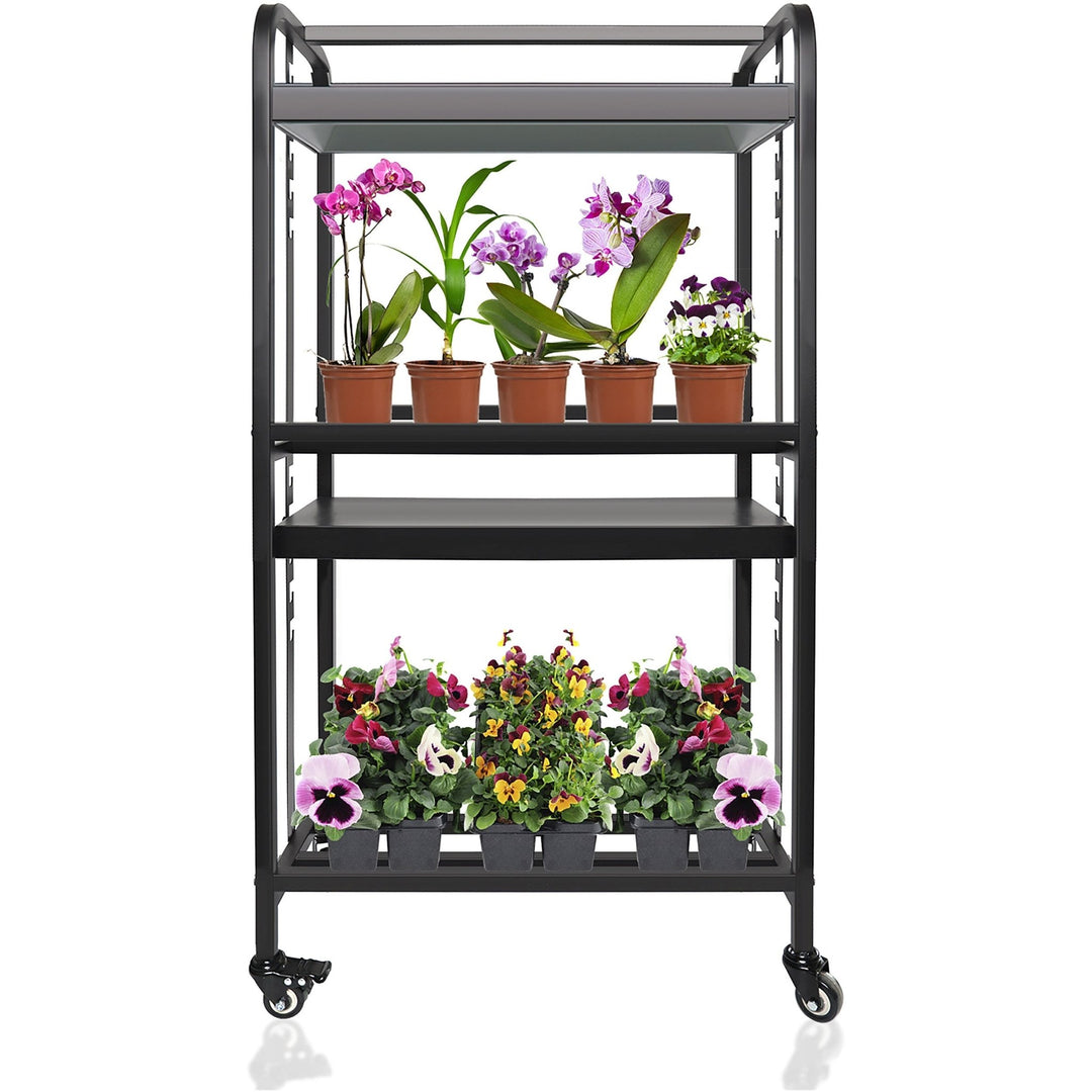 grow light plant carts Sunpack LED 2 Tier Grow Light Garden 72 Watts Kit 72W