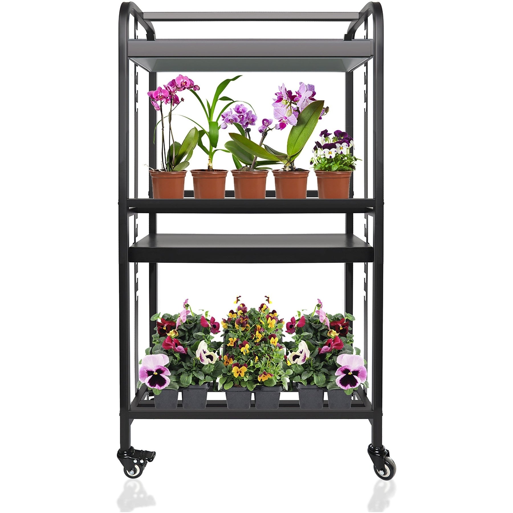 plant cart with grow lights Sunpack LED 2 Tier Grow Light Garden 72 Watts Kit 72W