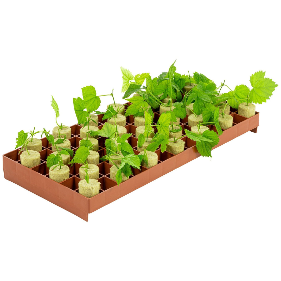 Super Sprouter® 78 Cell Stonewool Tray Insert - Greenhouse Megastore
