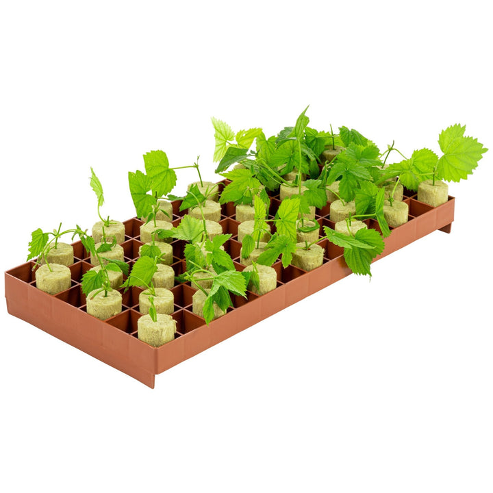 Super Sprouter® 78 Cell Stonewool Tray Insert - Greenhouse Megastore