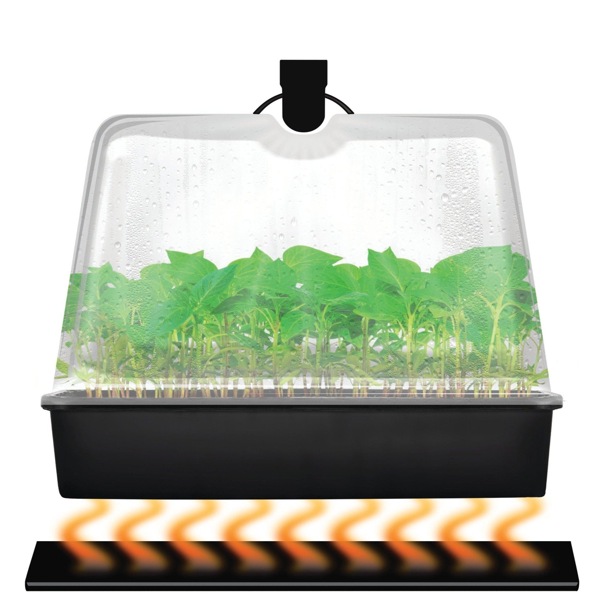 Super Sprouter® Premium Heated Propagation Kit – Greenhouse Megastore