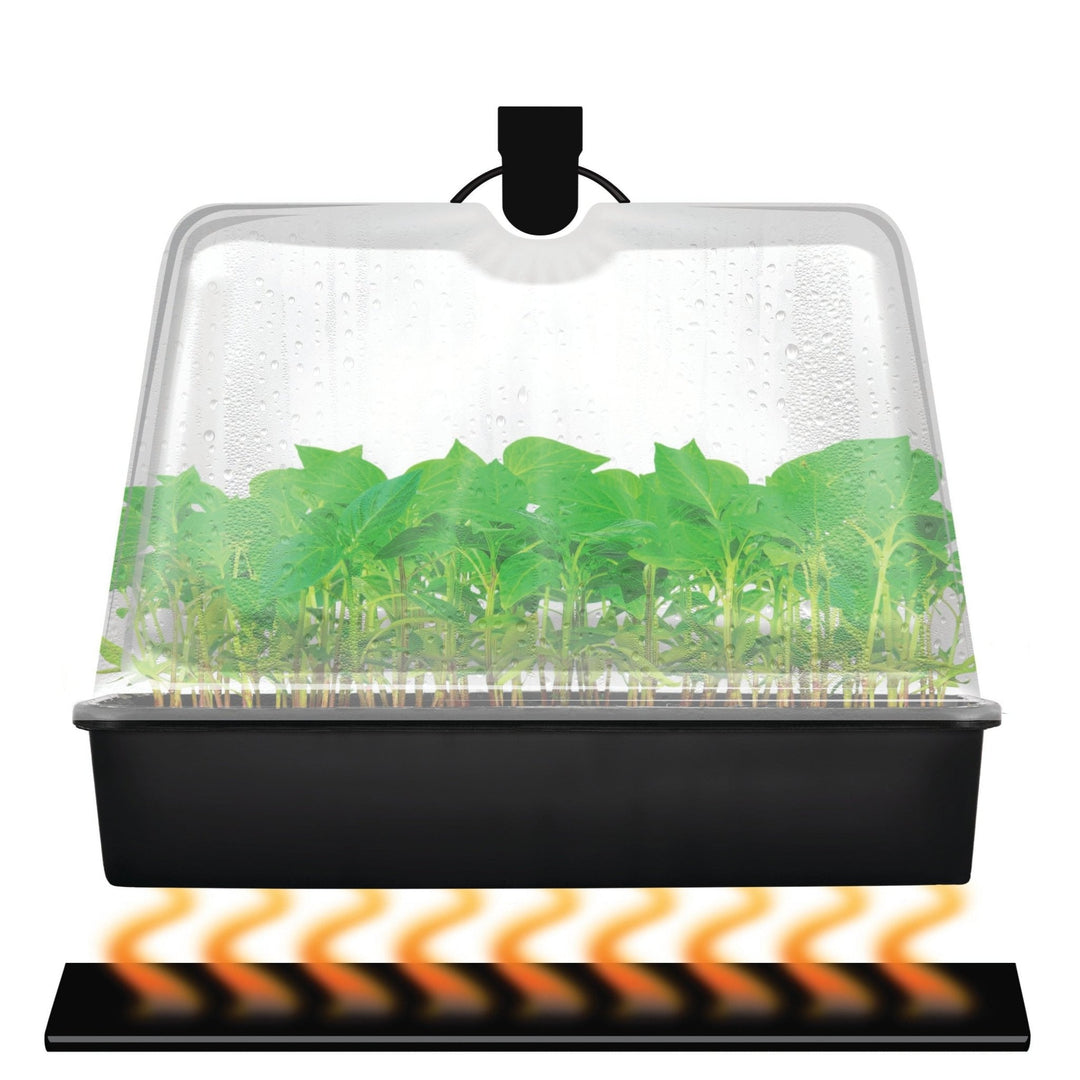 Super Sprouter® Premium Heated Propagation Kit - Greenhouse Megastore