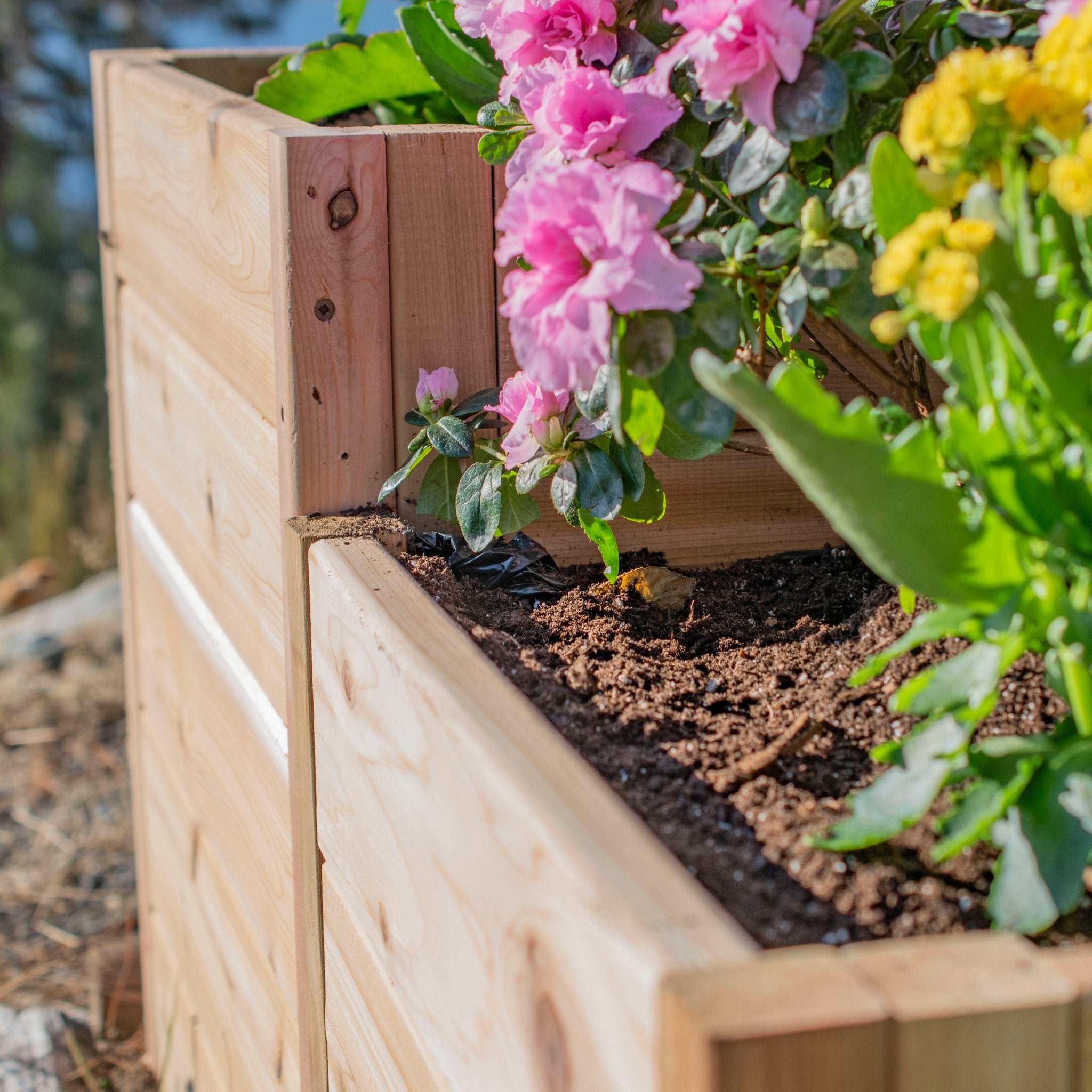 Tiered L-Shaped 5.5 x 2 ft. Raised Garden Bed - Greenhouse Megastore Tiered L-Shaped 5.5 x 2 ft. Raised Garden Bed - Greenhouse Megastore
