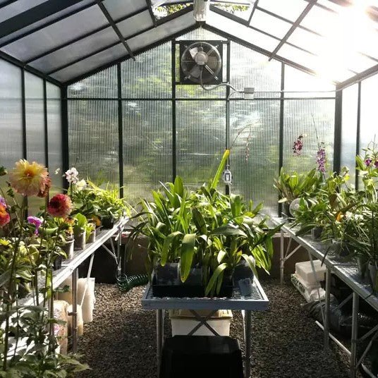 Traditional Fivewall Polycarbonate Greenhouse Kit with 16mm Polycarbonate Panels and Aluminum Frame - Greenhouse Megastore