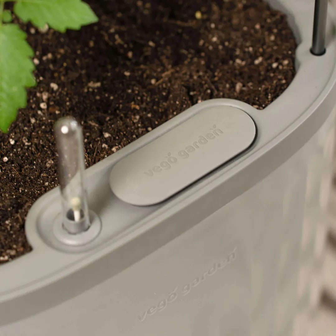Vego Garden® EZ Self - Watering Tomato Planter with Trellis - Greenhouse Megastore